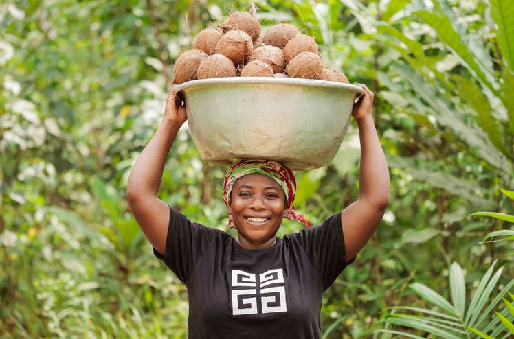 Kokosnuss Farm in Ghana