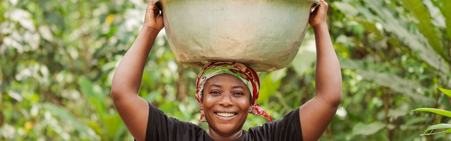 Kokosnuss Farm in Ghana
